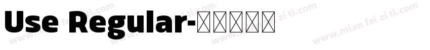 Use Regular字体转换